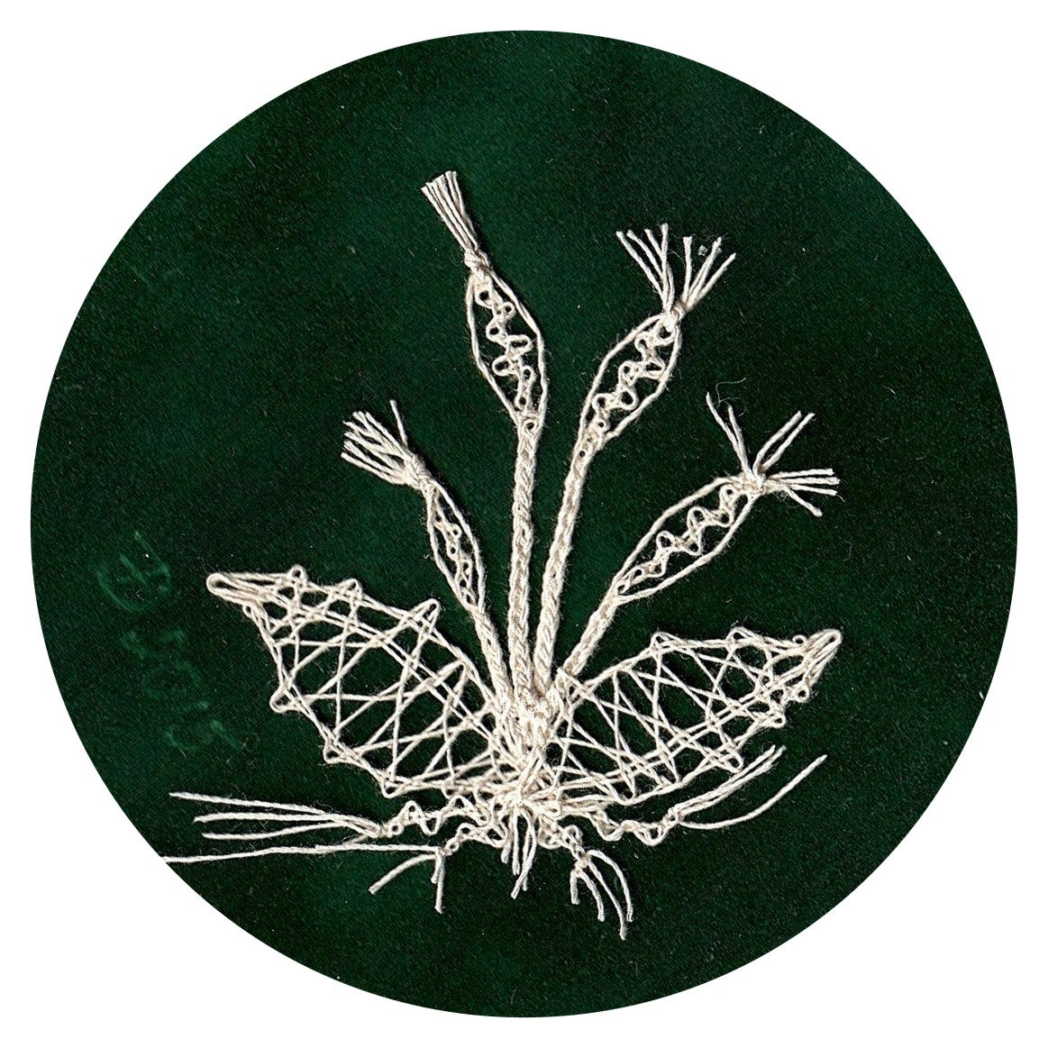 PF2015007-1